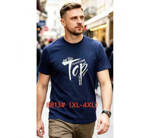Футболка чоловіча 6 шт (1-4XL) бавовна RZ6000_8813a