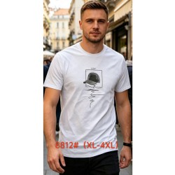 Футболка чоловіча 6 шт (1-4XL) бавовна RZ6000_8812