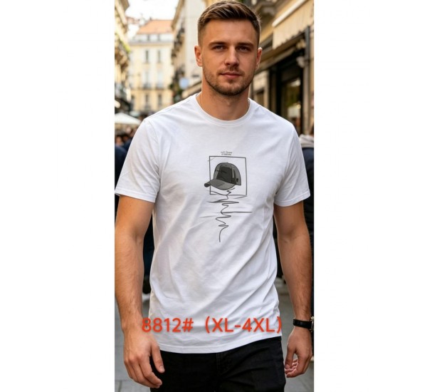 Футболка чоловіча 6 шт (1-4XL) бавовна RZ6000_8812