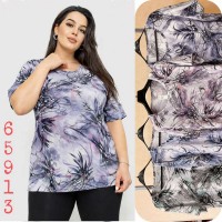 Футболка жіноча Батал, коттон 6 шт (4-8XL) SeR2152_65913