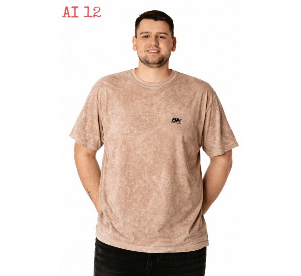 Футболка чоловіча Батал, двунитка 5 шт (56-64 р) SeR2152_AI12