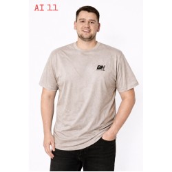 Футболка мужская Батал, двунитка 5 шт (56-64 р) SeR2152_AI11