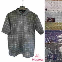 Футболка чоловіча трикотаж 5 шт (1-5XL) SeR2152_A1