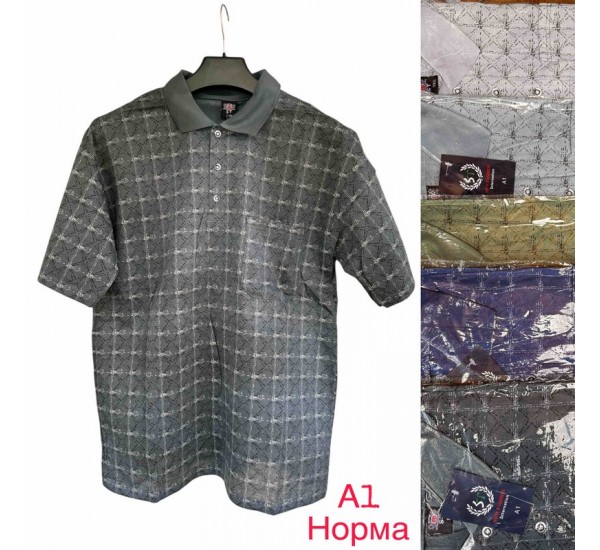 Футболка чоловіча трикотаж 5 шт (1-5XL) SeR2152_A1