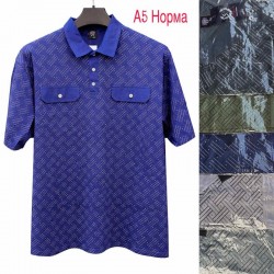 Футболка чоловіча трикотаж 5 шт (1-5XL) SeR2152_A5