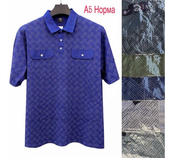 Футболка чоловіча трикотаж 5 шт (1-5XL) SeR2152_A5