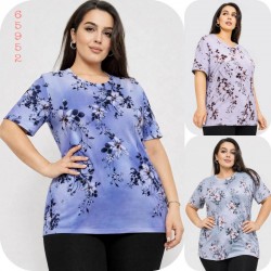 Футболка жіноча трикотаж 6 шт (4-8XL) SeR2152_65952
