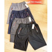 Шорти чоловічі двонитка 6 шт (46-56 р) SeR2152_6783