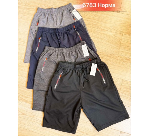 Шорти чоловічі двонитка 6 шт (46-56 р) SeR2152_6783