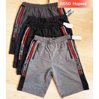 Шорти чоловічі двонитка 6 шт (46-56 р) SeR2152_6650