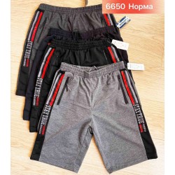 Шорти чоловічі двонитка 6 шт (46-56 р) SeR2152_6650