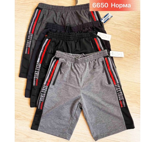 Шорти чоловічі двонитка 6 шт (46-56 р) SeR2152_6650