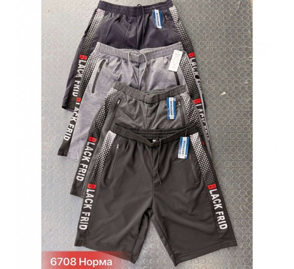 Шорти чоловічі двонитка 6 шт (46-56 р) SeR2152_6708