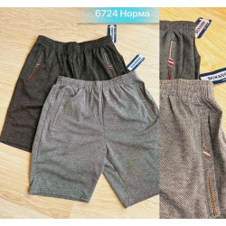 Шорти чоловічі двонитка 6 шт (46-56 р) SeR2152_6724