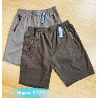 Шорти чоловічі двонитка 6 шт (46-56 р) SeR2152_6722