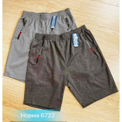 Шорти чоловічі двонитка 6 шт (46-56 р) SeR2152_6722