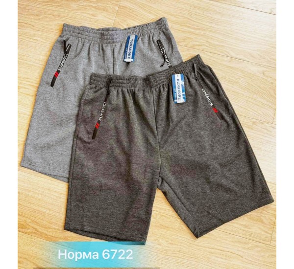 Шорти чоловічі двонитка 6 шт (46-56 р) SeR2152_6722