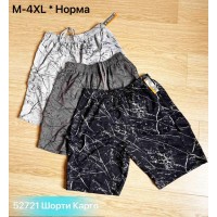 Шорти чоловічі двонитка 6 шт (46-56 р) SeR2152_52721