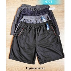 Шорти чоловічі двонитка 6 шт (4-9XL) SeR2152_6773