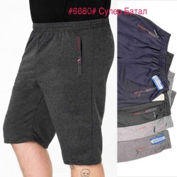 Шорти чоловічі двонитка 6 шт (4-9XL) SeR2152_6680