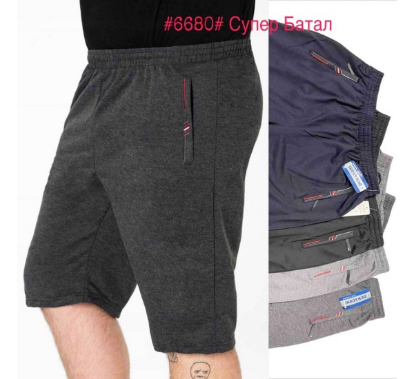 Шорти чоловічі двонитка 6 шт (4-9XL) SeR2152_6680