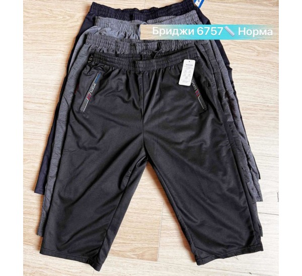 Бриджі чоловічі двонитка 6 шт (46-56 р) SeR2152_6757