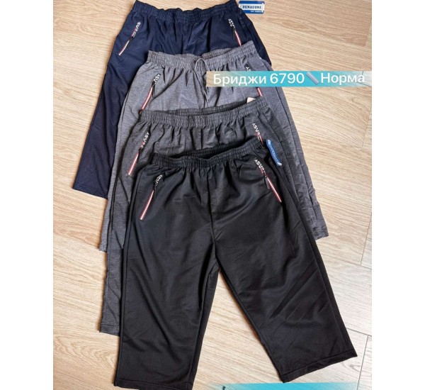 Бриджі чоловічі двонитка 6 шт (46-56 р) SeR2152_6790