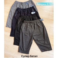 Бриджі чоловічі двонитка 6 шт (4-9XL) SeR2152_6742