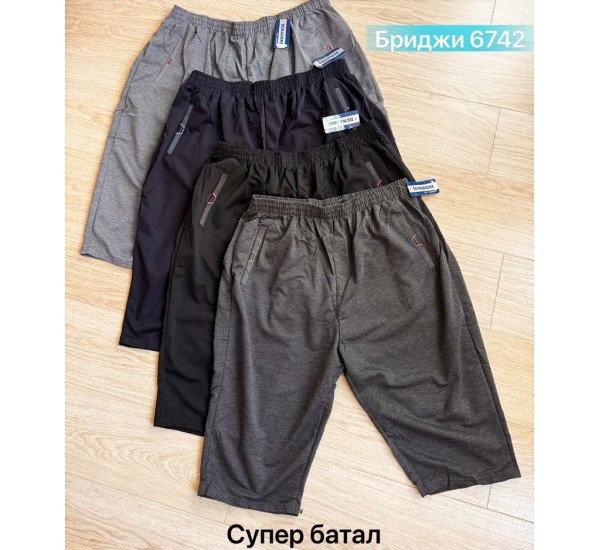 Бриджі чоловічі двонитка 6 шт (4-9XL) SeR2152_6742