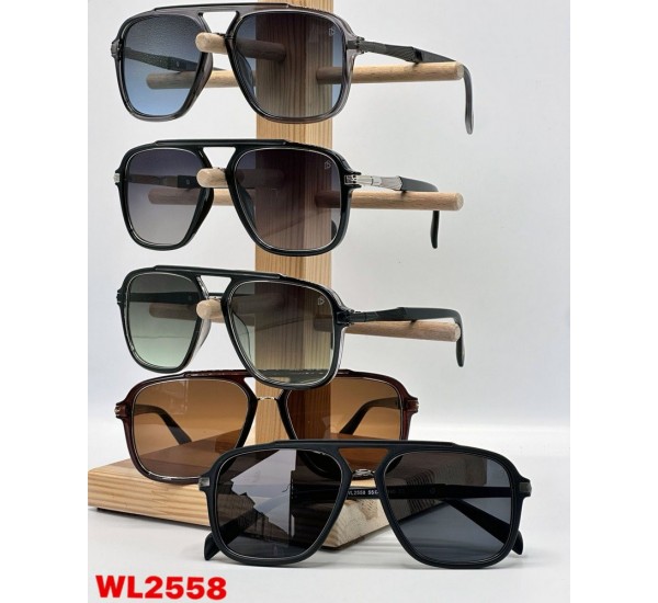 Очки BALDININI мужские Поликарбонат 3 шт SoH_WL2558