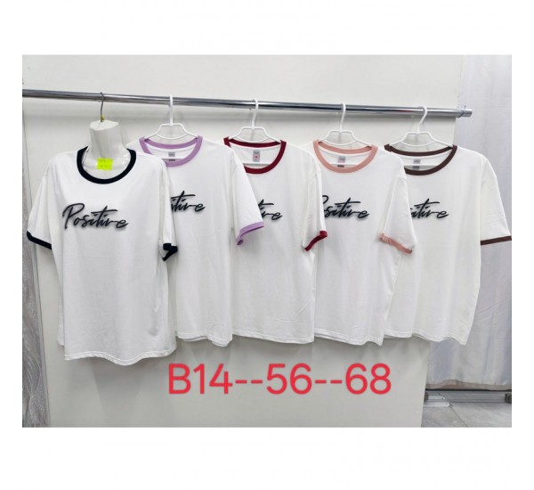 Футболка жіноча, стрейч/коттон 5 шт (56-68 р) ZeL777_B14