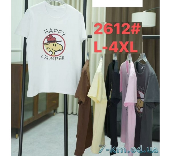 Футболка женская, стрейч/коттон 5 шт (48-56 р) ZeL777_2612