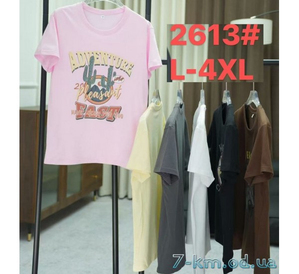 Футболка женская, стрейч/коттон 5 шт (48-56 р) ZeL777_2613