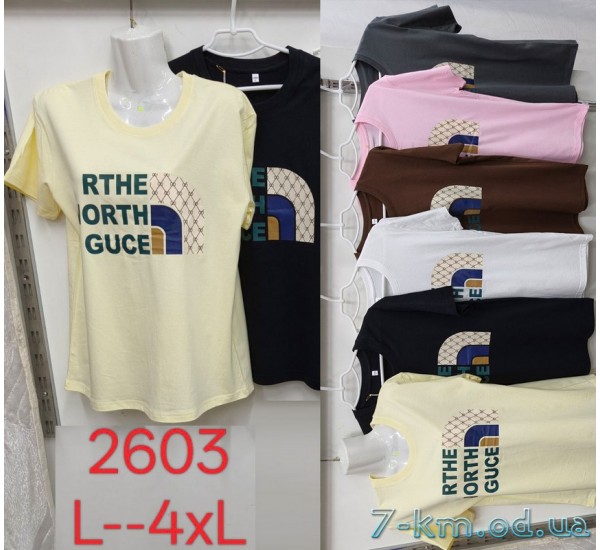 Футболка жіноча, стрейч/коттон 5 шт (L-4XL) ZeL777_2603