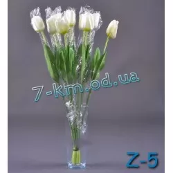 Тюльпан RuS_Z-5 большой штучный 50 штук