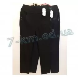 Штани жіночі DLD_170709 поліестер 6 шт (2XL-4XL)