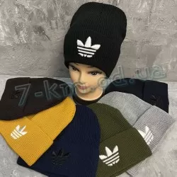 Шапка чоловіча ML903_211023 фліс 5 шт
