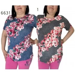 Футболка жіноча трикотаж 6 шт (L-4XL) SeR2152_6631