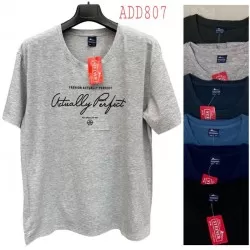 Футболка чоловіча трикотаж 5 шт (7-10XL) SeR2152_ADD807